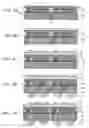 Fig. 09 - Method for manufacturing light emitting device and light emitting device