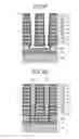 Fig. 07 - Nonvolatile semiconductor memory device and method of manufacturing the same
