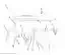 Fig. 23 - Tailgate