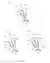 Fig. 49 - Stator and rotor-stator structures for electrodynamic machines