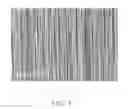 Fig. 05 - Electrostrictive structure incorporating carbon nanotubes and electrostrictive actuator using the same