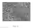 Fig. 06 - Electrostrictive structure incorporating carbon nanotubes and electrostrictive actuator using the same