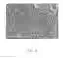 Fig. 07 - Electrostrictive structure incorporating carbon nanotubes and electrostrictive actuator using the same
