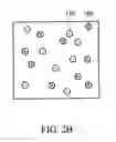 Fig. 09 - ELECTROPHORETIC DISPLAY DEVICE AND METHOD FOR DRIVING SAME