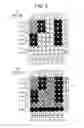 Fig. 06 - Method of Driving Information Display Device