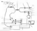 Fig. 02 - Method and apparatus for eye movement tracking in spectral optical coherence tomography (SD-OCT)