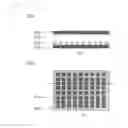 Fig. 23 - Display method and device using photonic crystal characteristics