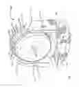 Fig. 02 - Moving head fixture and cooling module