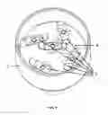 Fig. 06 - FUNCTIONING SECTION OF A HAND BLENDER AND/OR MIXER WITH MULTIPLE ROTATING BLADES
