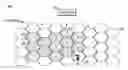 Fig. 01 - Adaptive bearer configuration for broadcast/multicast service