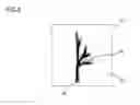 Fig. 07 - METHOD FOR ENHANCED VISUALIZATION OF OBJECTS IN INTERVENTIONAL ANGIOGRAPHIC EXAMINATIONS AND DEVICE FOR PERFORMING THE METHOD