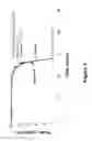 Fig. 06 - Cold sterilization of tissue engineering scaffolds with compressed carbon dioxide