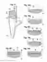 Fig. 06 - Medical fluid access device with antiseptic indicator