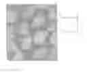 Fig. 01 - Zeolite structure and manufacturing method thereof