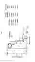 Fig. 12 - STRUCTURAL VARIANTS OF ANTIBODIES FOR IMPROVED THERAPEUTIC CHARACTERISTICS