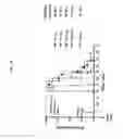 Fig. 13 - STRUCTURAL VARIANTS OF ANTIBODIES FOR IMPROVED THERAPEUTIC CHARACTERISTICS
