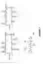 Fig. 02 - PEPTIDE TARGETING IMAGING AGENTS AND METHODS OF USE THEREOF