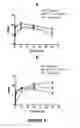 Fig. 09 - PEPTIDE TARGETING IMAGING AGENTS AND METHODS OF USE THEREOF