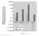 Fig. 04 - COMPOSITION AND METHODS FOR ELICITING AN IMMUNE RESPONSE