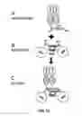Fig. 16 - PEGylation by the dock and lock (DNL) technique