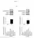 Fig. 02 - Compositions and methods for the treatment of neurologic and psychiatric conditions