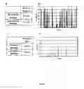 Fig. 06 - Display library for antibody selection