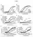 Fig. 07 - Antibody variants with enhanced complement activity