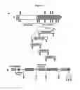 Fig. 02 - Blocking mesothelin peptide fragments