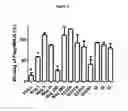 Fig. 09 - Blocking mesothelin peptide fragments