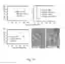 Fig. 40 - COMPOSITIONS AND METHODS FOR MODULATING LYMPHOCYTE ACTIVITY