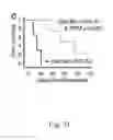 Fig. 45 - COMPOSITIONS AND METHODS FOR MODULATING LYMPHOCYTE ACTIVITY