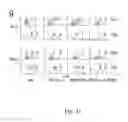 Fig. 49 - COMPOSITIONS AND METHODS FOR MODULATING LYMPHOCYTE ACTIVITY