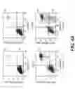 Fig. 05 - Targeting PAX2 for the induction of DEFB1-mediated tumor immunity and cancer therapy