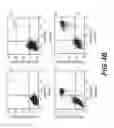 Fig. 06 - Targeting PAX2 for the induction of DEFB1-mediated tumor immunity and cancer therapy