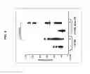 Fig. 08 - COAGULATION FACTOR MODULATION FOR CONTROLLING TRANSPLANT ORGAN SIZE