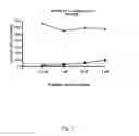 Fig. 06 - OVERLAPPING PEPTIDES FROM VARIABLE ANTIGENS, T CELL POPULATIONS AND USES THEREOF