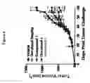Fig. 07 - COMBINATION THERAPY WITH PEPTIDE EPOXYKETONES