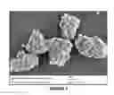 Fig. 08 - Antimicrobial Silica Composites