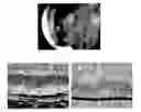 Fig. 01 - Membrane