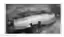 Fig. 01 - INJECTABLE DUAL DELIVERY ALLOGRAPH BONE/POLYMER COMPOSITE FOR TREATMENT OF OPEN FRACTURES