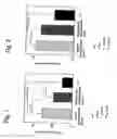 Fig. 02 - SUBSTANCES CAPABLE OF POTENTIATING LAMININ 5 PRODUCTIVITY IN EPIDERMAL CELLS AND THEIR USE