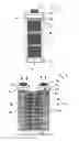 Fig. 02 - Drying cabinet