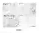 Fig. 02 - METHOD FOR FORMATION OF RENAL TUBULES