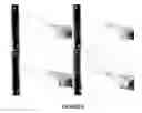 Fig. 09 - METHOD FOR FORMATION OF RENAL TUBULES