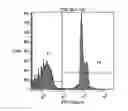 Fig. 01 - Modified actinomycin-based nucleic acid stains and methods of their use