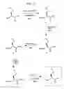 Fig. 09 - Chemoselective ligation