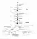 Fig. 01 - RECOMBINANT MICROORGANISM AND METHODS OF PRODUCTION THEREOF