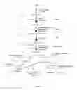 Fig. 02 - RECOMBINANT MICROORGANISM AND METHODS OF PRODUCTION THEREOF