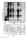 Fig. 02 - Methods for Processing Biological Tissues