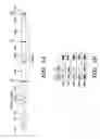 Fig. 02 - Single lentiviral vector system for induced pluripotent (iPS) stem cells derivation